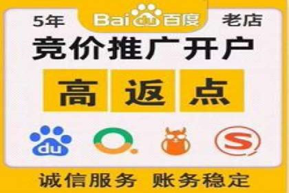 SEM推广竞价策略案例分析
